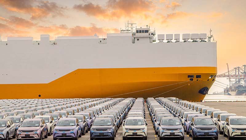 Mec Safety Systems Roro